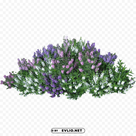 PNG image of bush with pink flowers High-definition transparent PNG with a clear background - Image ID d585d0c2