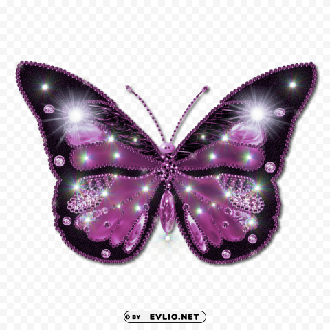 butterfly Free PNG images with transparent layers diverse compilation