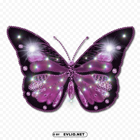 butterfly Isolated Artwork on Clear Background PNG