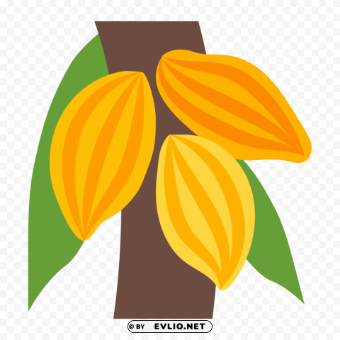 cacao PNG transparent graphics bundle