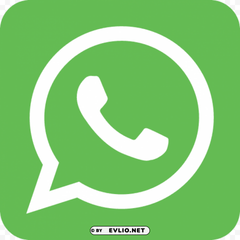 call whats app whats Isolated Design Element on PNG