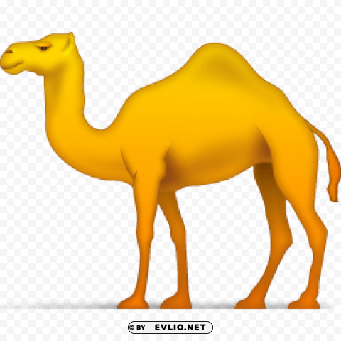 camel Isolated PNG Item in HighResolution
