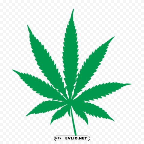 cannabis PNG with cutout background