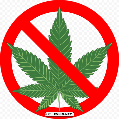 cannabis PNG with Isolated Object