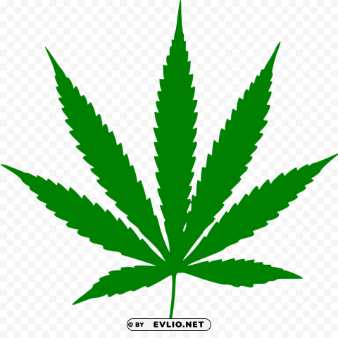 cannabis PNG without background