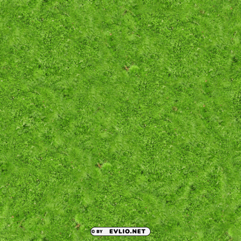 carpet PNG Isolated Object with Clarity