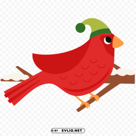 Christmas Bird PNG For Web Design