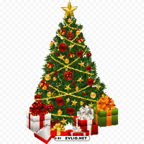 christmas fir PNG download free