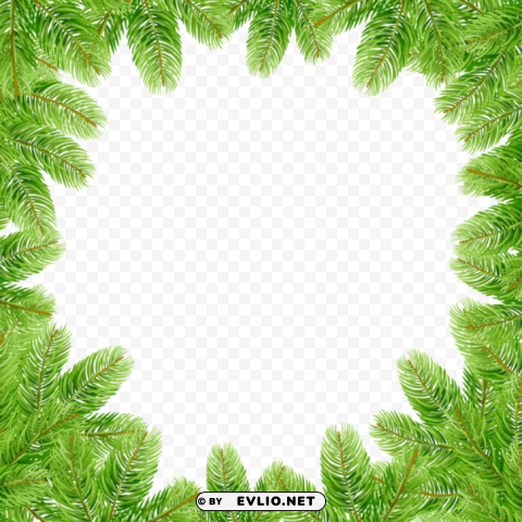 christmas pine branches border PNG Image with Transparent Background Isolation