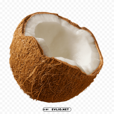 coconuts Isolated Item in HighQuality Transparent PNG