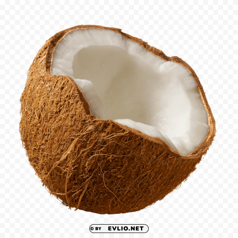 Coconuts Isolated Item In HighQuality Transparent PNG