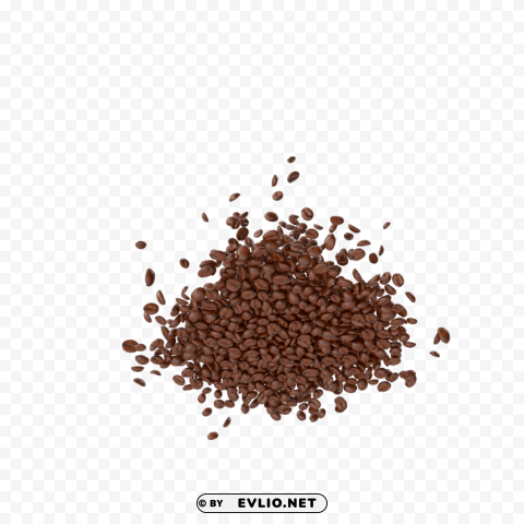 coffee beans PNG images with high-quality resolution