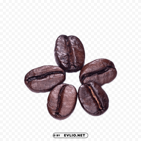 coffee beans PNG with no background required