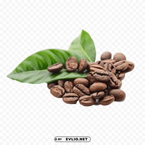 coffee beans s PNG with no background free download
