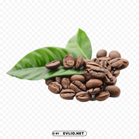 Coffee Beans S PNG With No Background Free Download