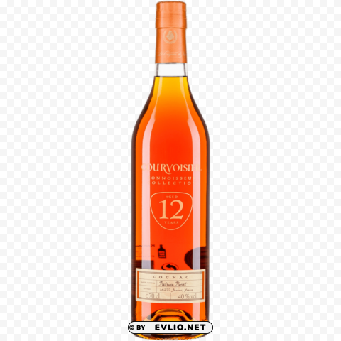 cognac Isolated Character in Transparent PNG Format