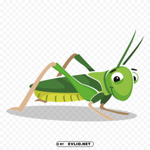cricket insect clipart PNG Graphic Isolated on Clear Background png images background - Image ID 323bc89f