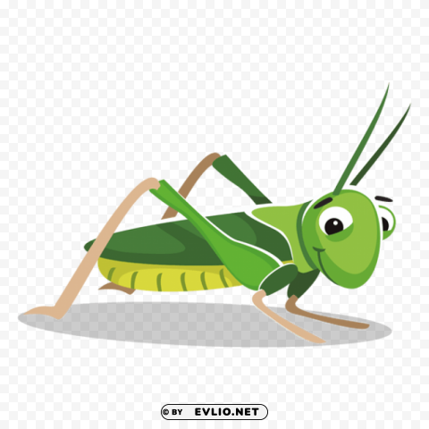 Cricket Insect Clipart PNG Graphic Isolated On Clear Background