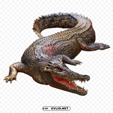 crocodile Isolated Element on HighQuality Transparent PNG