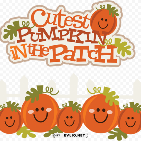 cute pumpkin PNG images with alpha transparency layer