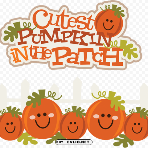 cute pumpkin PNG images with alpha transparency layer PNG transparent with Clear Background ID b001d5f3