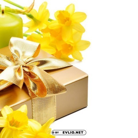 daffodils with gift and candle Clear background PNG elements