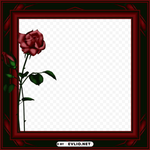dark redphoto frame with roses PNG clear images