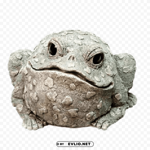 decorative garden toad Isolated Character in Clear Background PNG