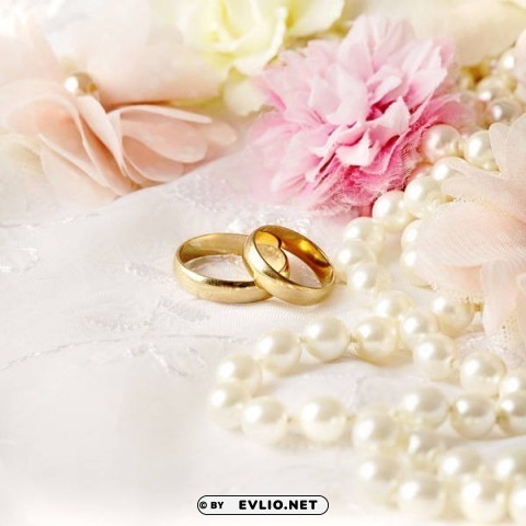 delicate wedding PNG no background free