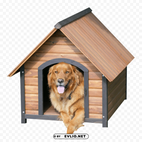 Dog House PNG Format