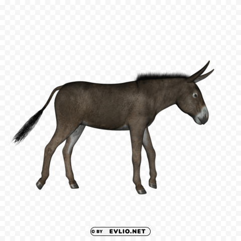 donkey PNG for personal use