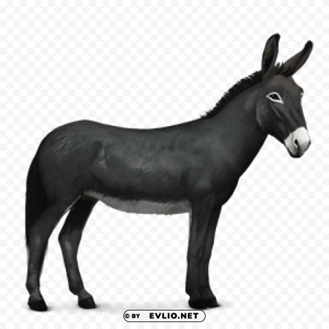 Donkey PNG Format