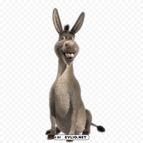 donkey PNG Graphic Isolated on Clear Backdrop