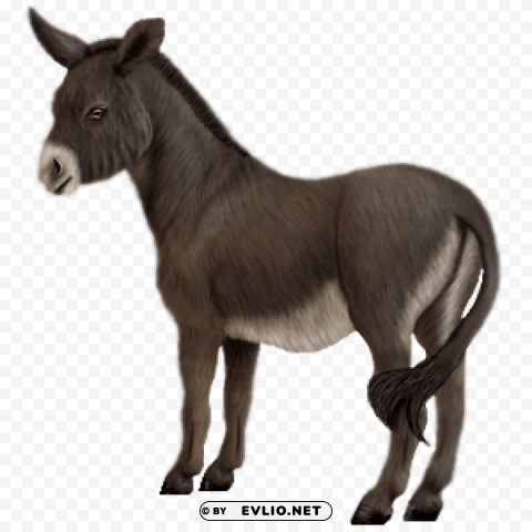 donkey PNG Graphic with Clear Background Isolation png images background - Image ID 1627dfff