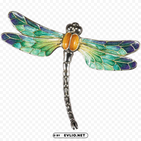dragonfly High-resolution PNG