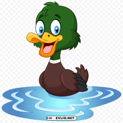 duck Transparent Background PNG Isolated Item