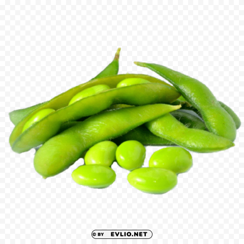 Transparent edamame PNG graphics for presentations PNG background - Image ID fd8aabca