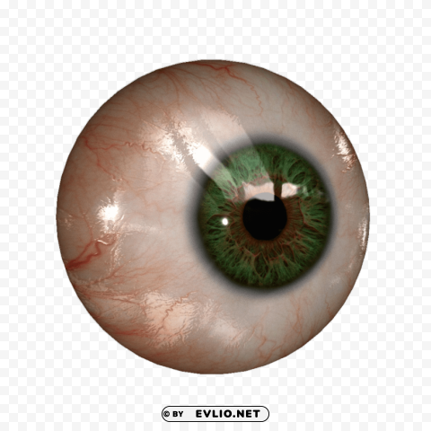 eye Transparent Background Isolation in PNG Format