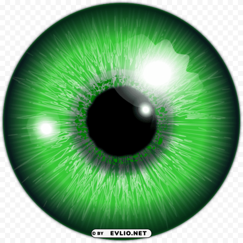 Transparent background PNG image of eye Transparent image - Image ID 49e31ccb