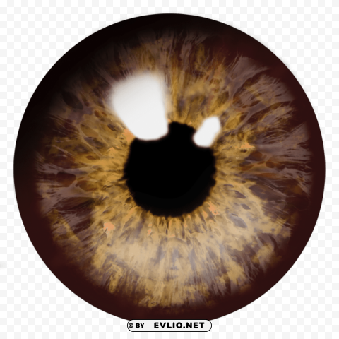 Eyes PNG With Transparent Background For Free