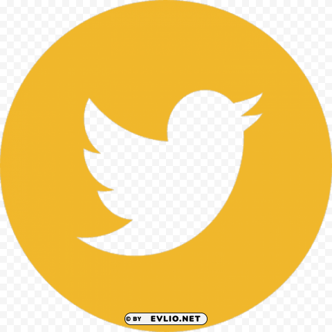facebook twitter instagram logo gold PNG for educational use