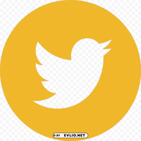 Facebook Twitter Instagram Logo Gold PNG For Educational Use