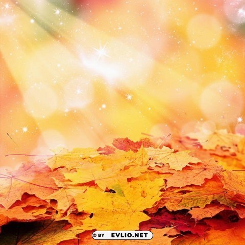 fall leaves Isolated Item with Transparent PNG Background