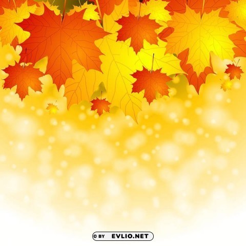 Fall Leaves PNG Files With Clear Background Variety
