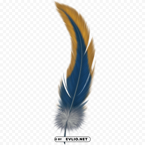 feather PNG with clear overlay