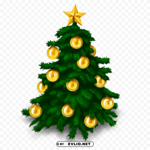 fir tree Isolated Object on Transparent Background in PNG
