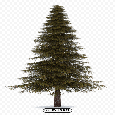 fir-tree PNG transparent graphics bundle