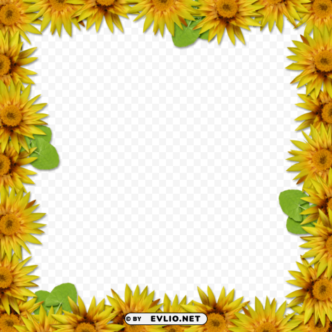flower frame portrait hd PNG Image with Clear Isolation