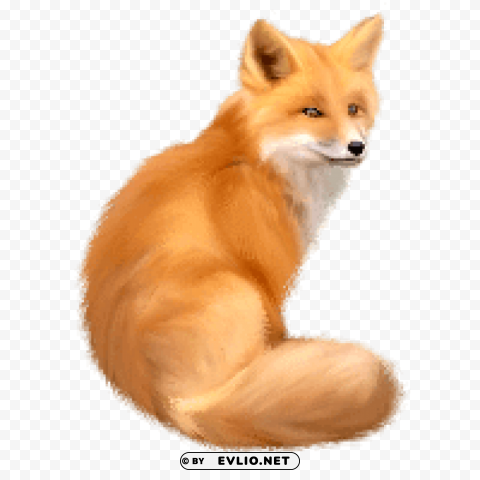 Fox - Premium Quality Image - ID 47364613 Isolated Artwork on HighQuality Transparent PNG
