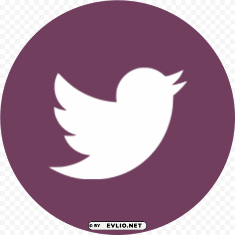 freetwitter icon PNG with Isolated Object and Transparency PNG transparent with Clear Background ID 552374f3